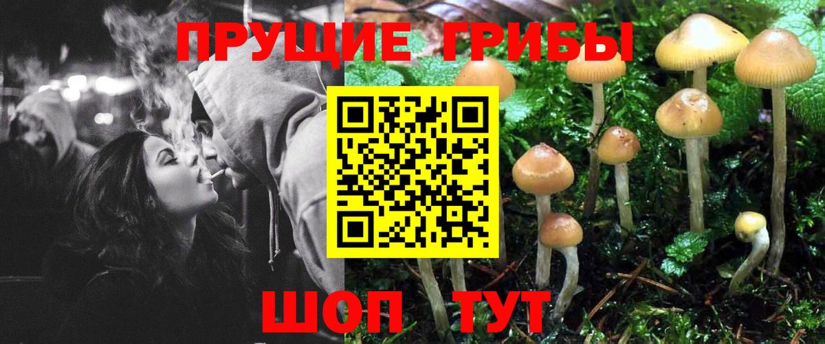 Галлюциногенные грибы GOLDEN TEACHER Туймазы